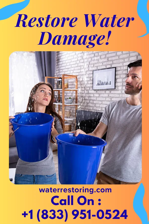 water restoration Total Recovery Brothers Timber Hills