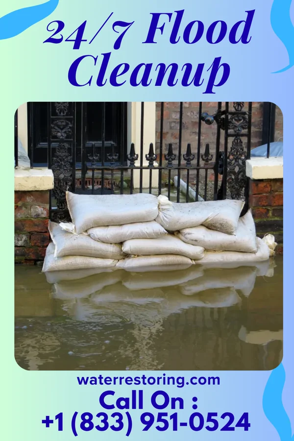 24/7 Flood Cleanup in Timber Hills, PA
