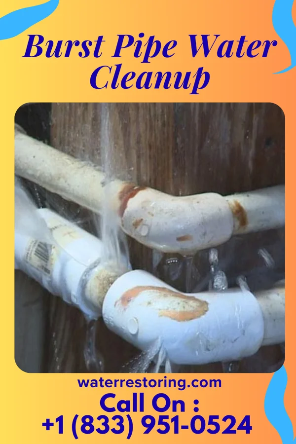 Burst Pipe Water Cleanup in Timber Hills, PA