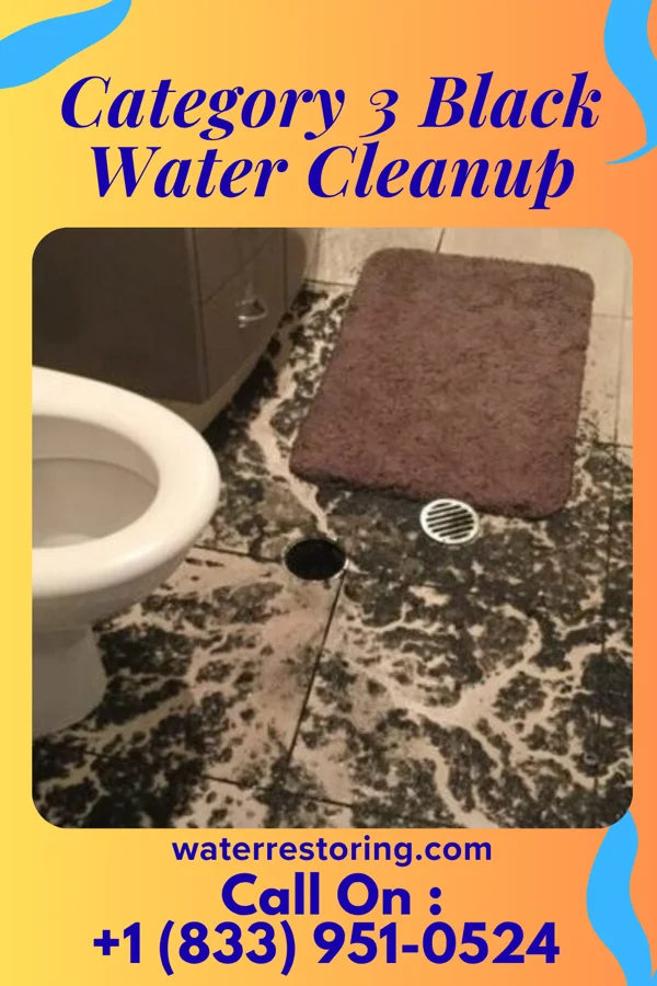 Category 3 Black Water Cleanup in Timber Hills, PA