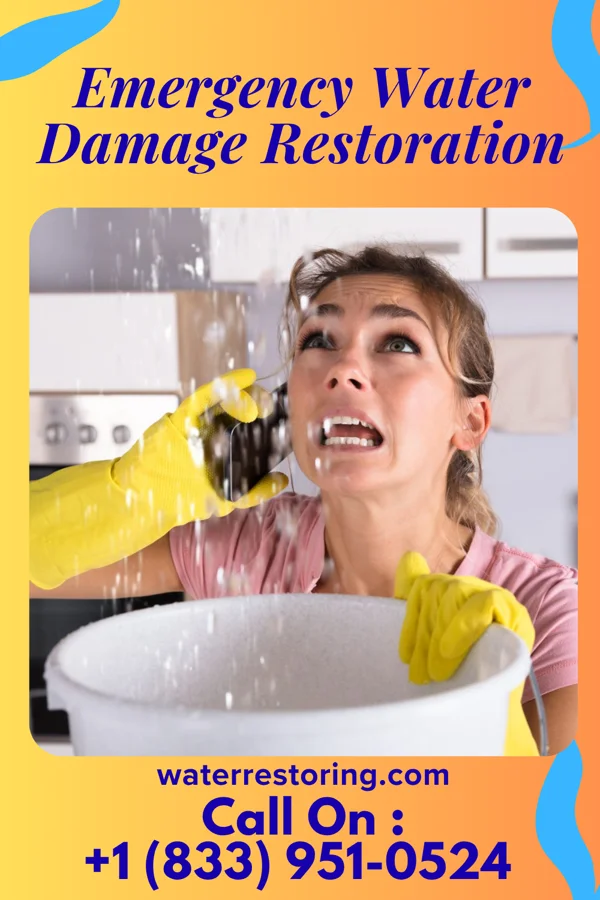 Emergency Water Damage Restoration in Timber Hills, PA