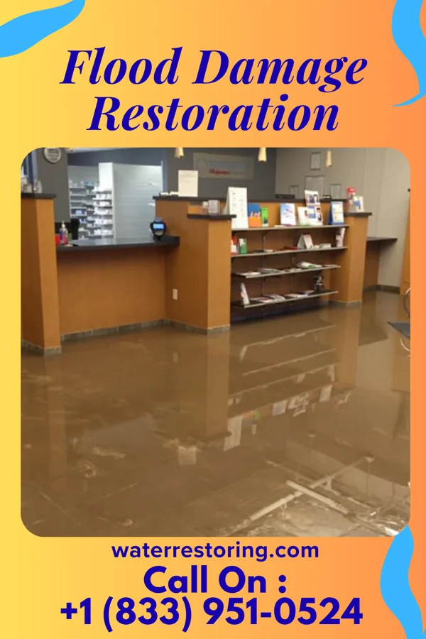 Flood Damage Restoration in Timber Hills, PA