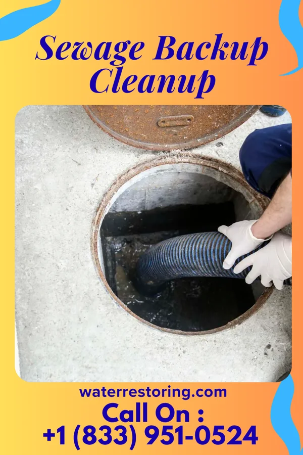 Sewage Backup Cleanup in Timber Hills, PA