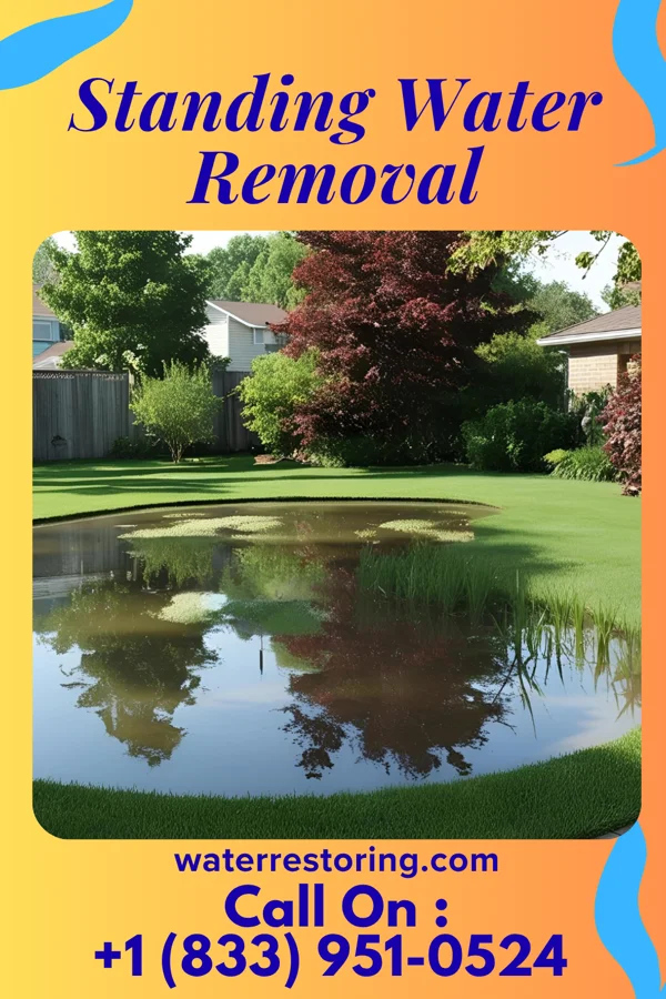 Standing Water Removal in Timber Hills, PA